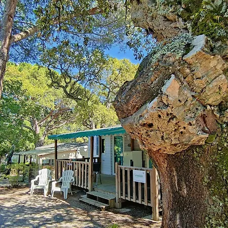 Greenchalets Sur Argens مكان تخييم روكبرون-سور-أرجينس