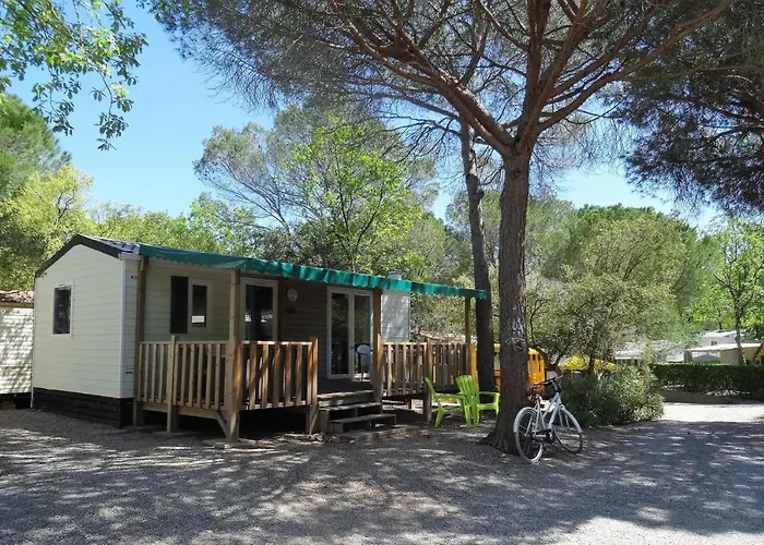 캠프장 Greenchalets Sur Argens